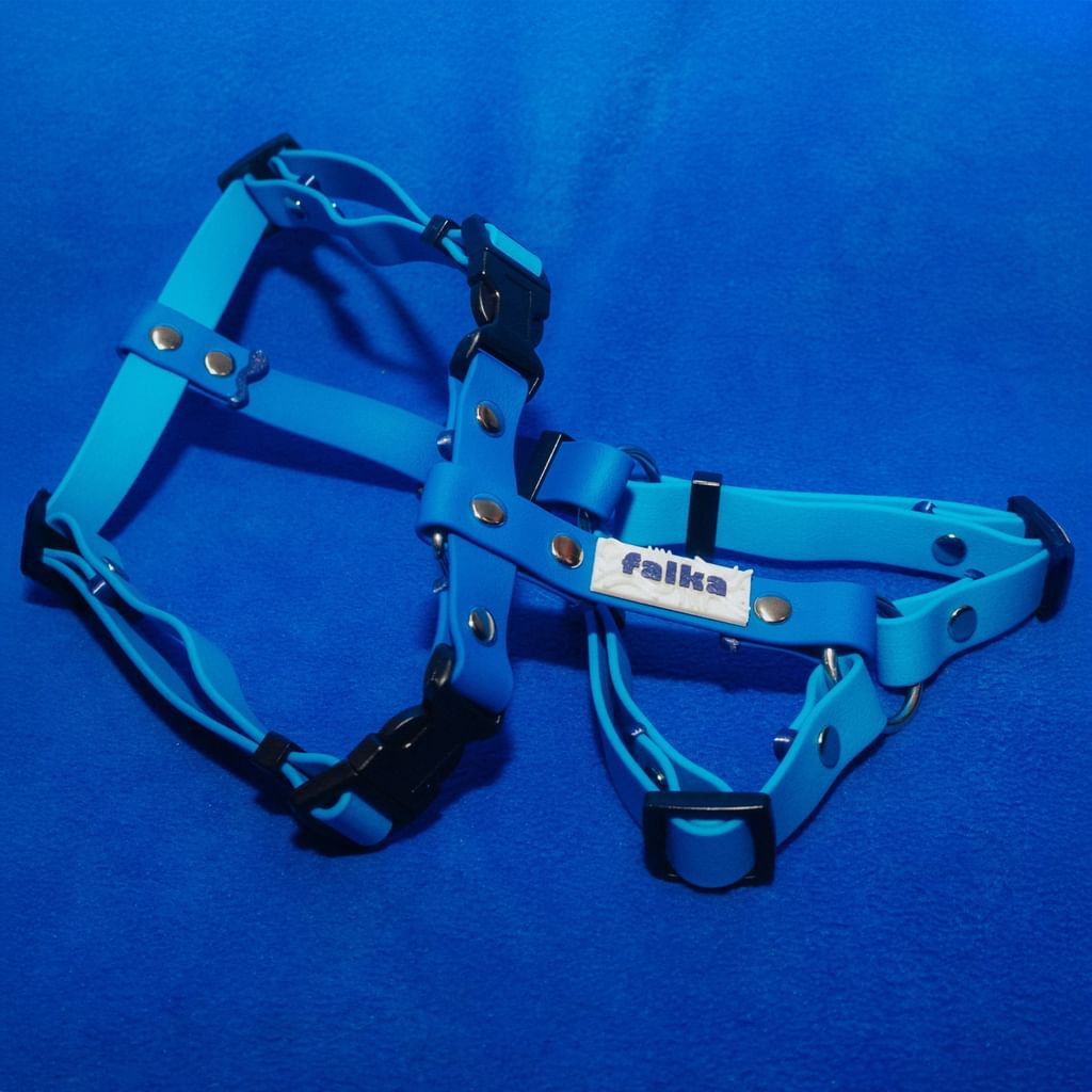 szelki spacerowe guard - abisal