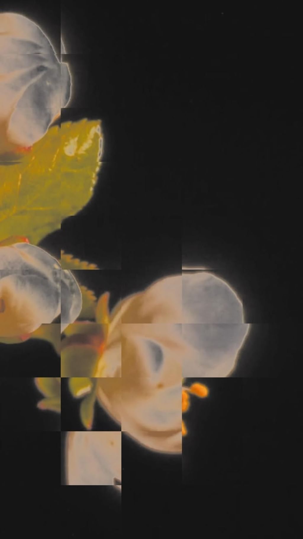 Warsztaty Touchdesigner Basics + Ableton Zzzziola 