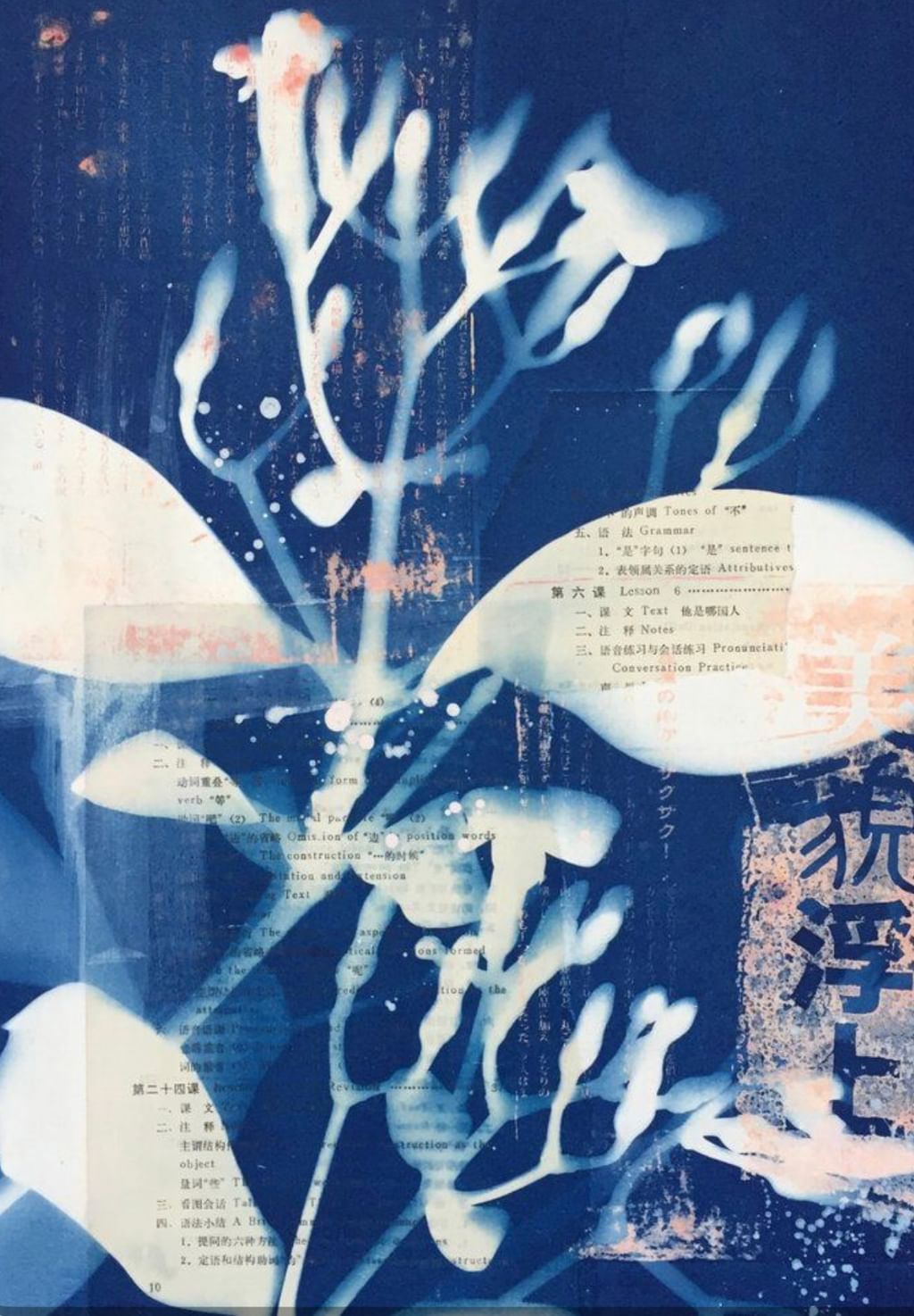 Warsztaty cyjanotypii