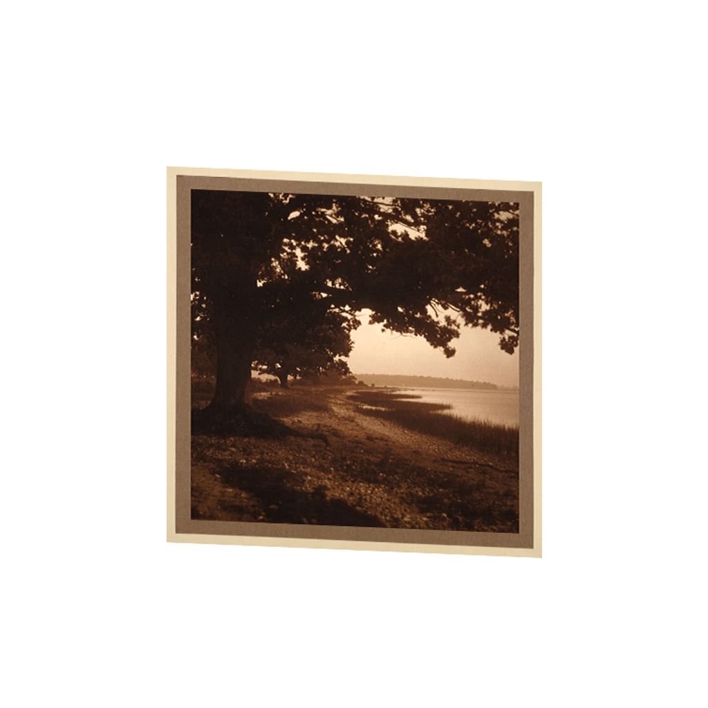 Alfred Böhmer | CD