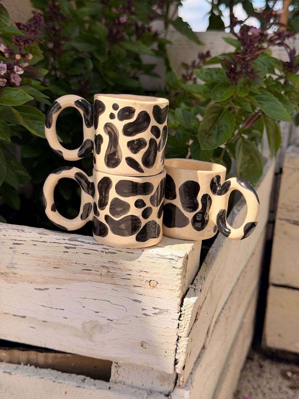 Espresso Wild Spots