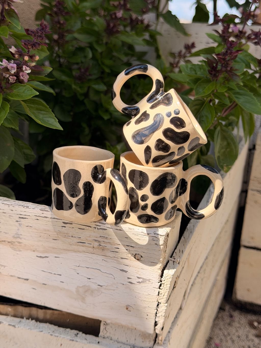 Espresso Wild Spots