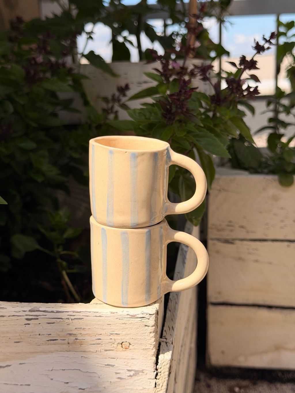 Espresso Blue Stripe