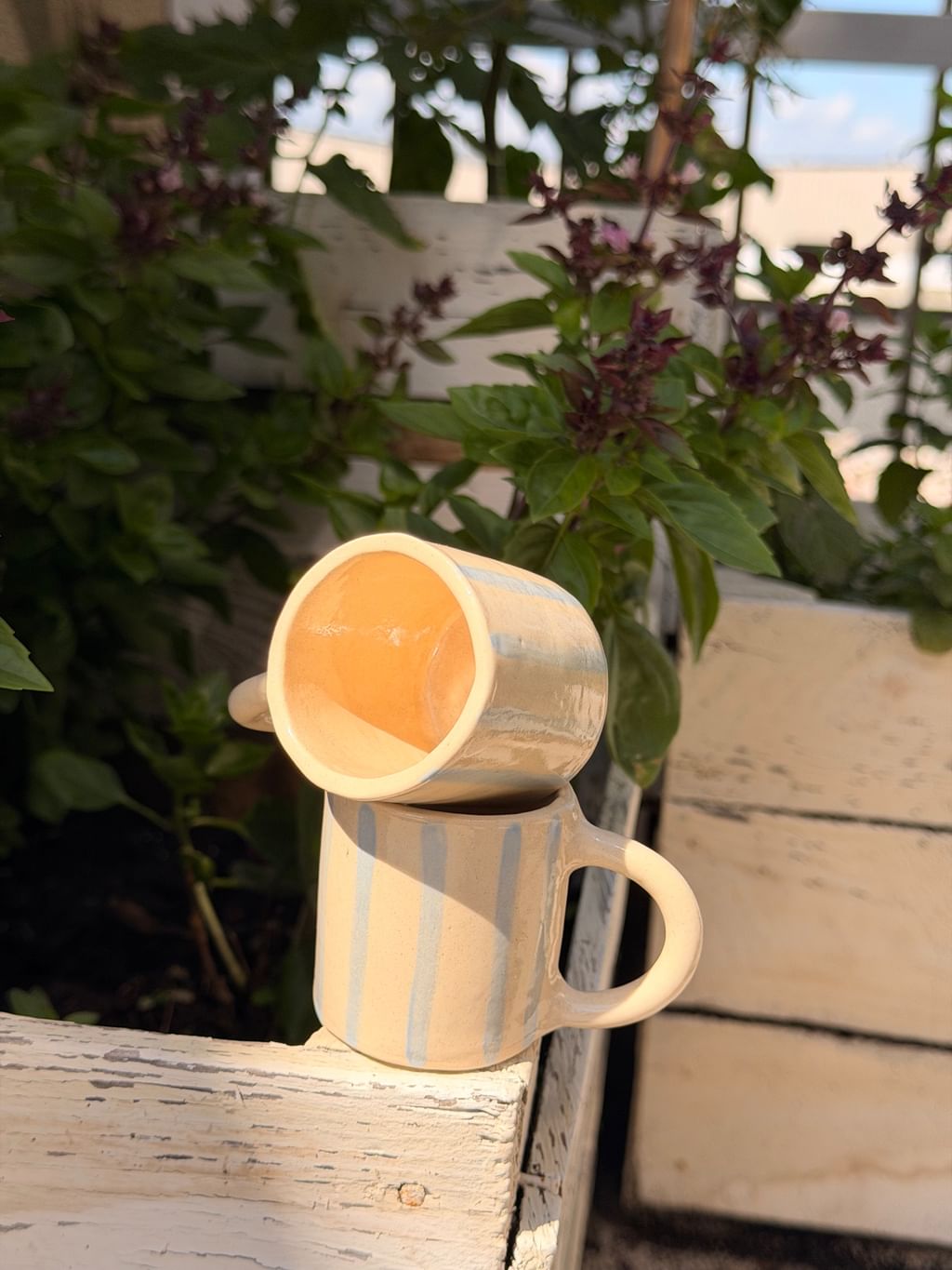 Espresso Blue Stripe
