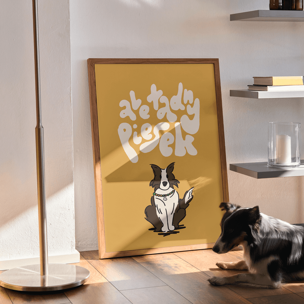 ALE ŁADNY PIESEK! — Border Collie