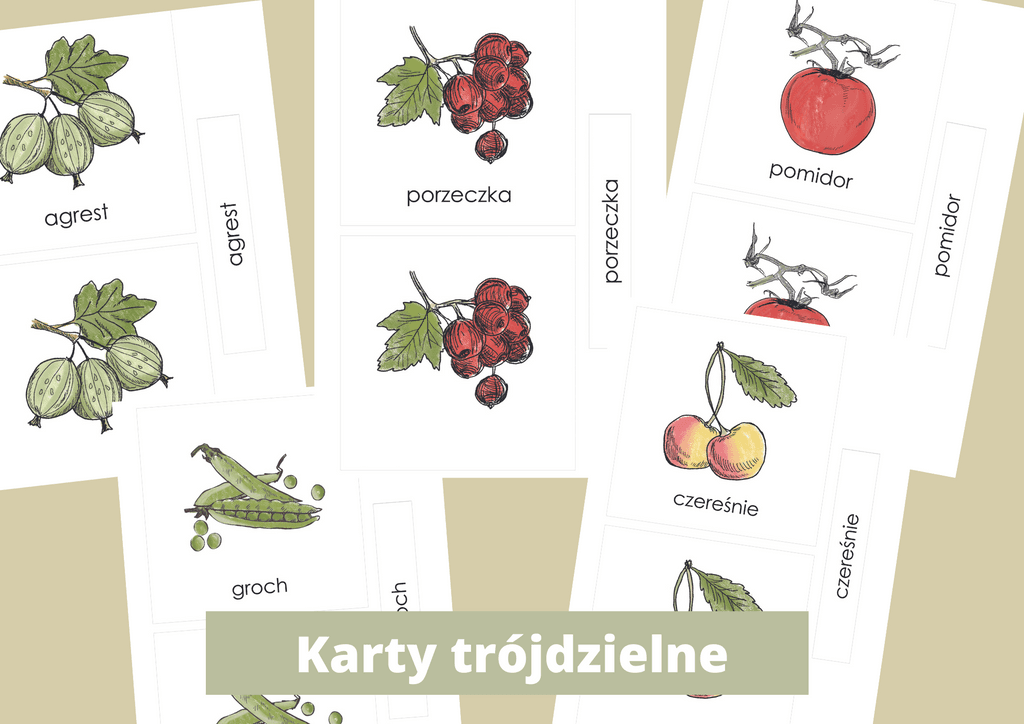 EBOOK "Co na to LATO" [ PDF ] kalendarz aktywności i dziennik obserwacji przyrody
