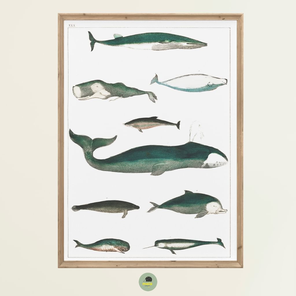 Plakat Walenie