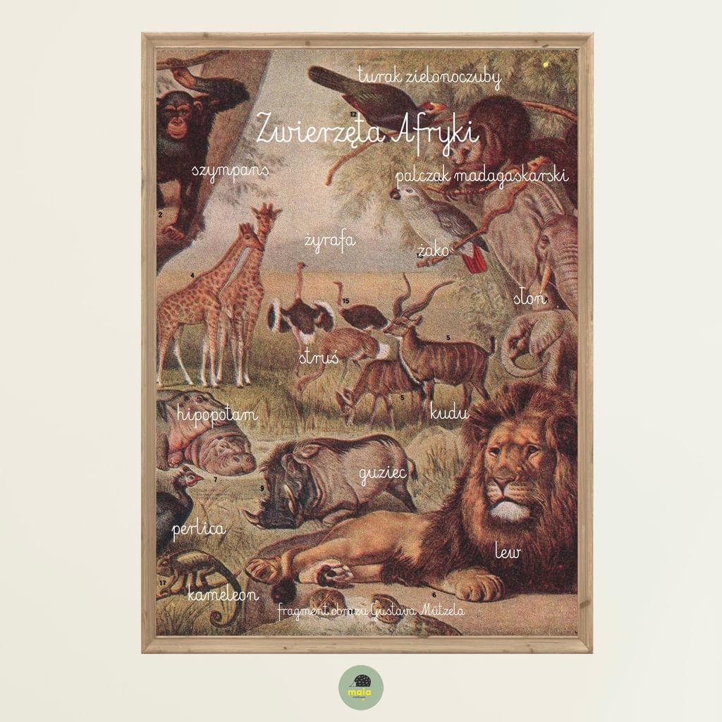 Plakat Zwierzęta Afryki Art