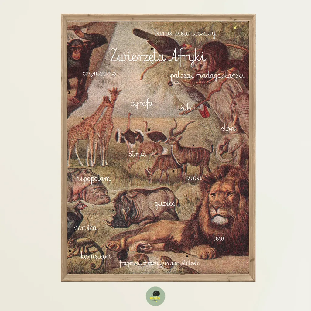 Plakat Zwierzęta Afryki Art