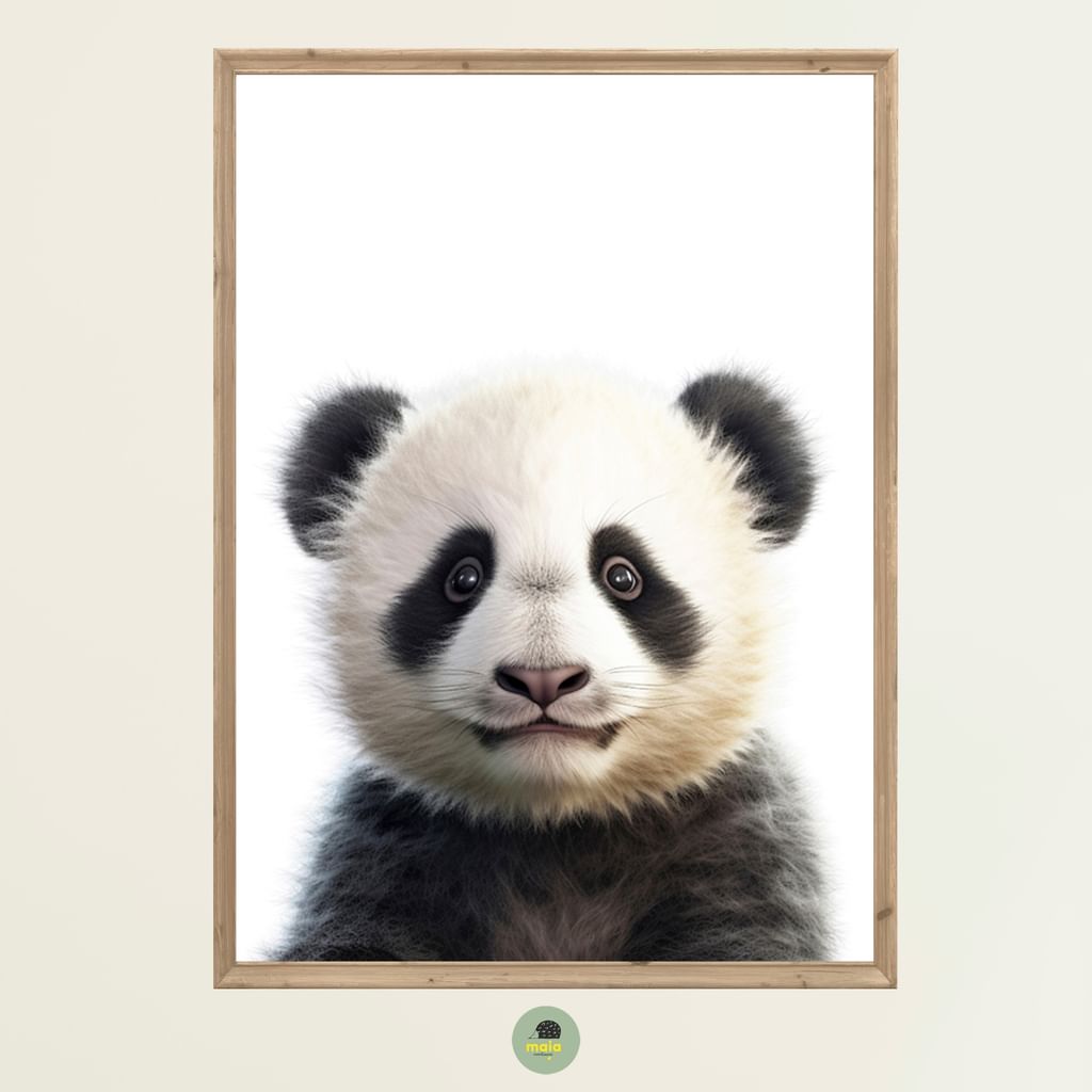 Plakat Panda