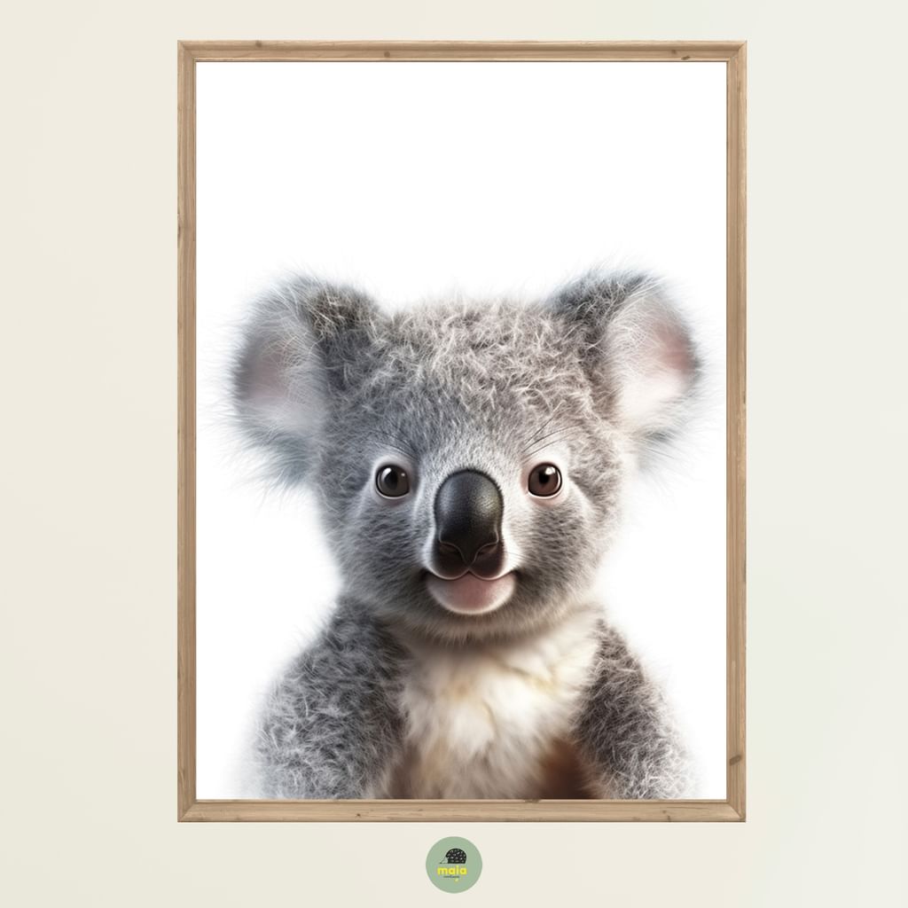 Plakat Koala