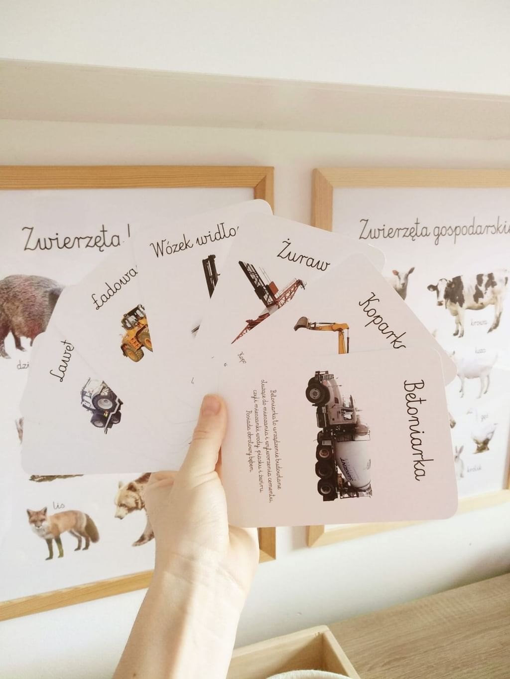Karty edukacyjne Budowa