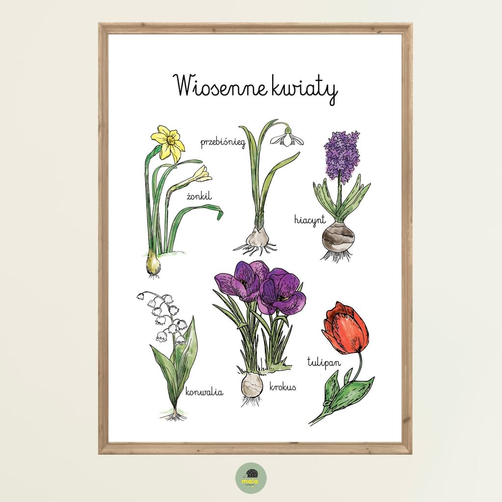 Plakat edukacyjny Wiosenne kwiaty