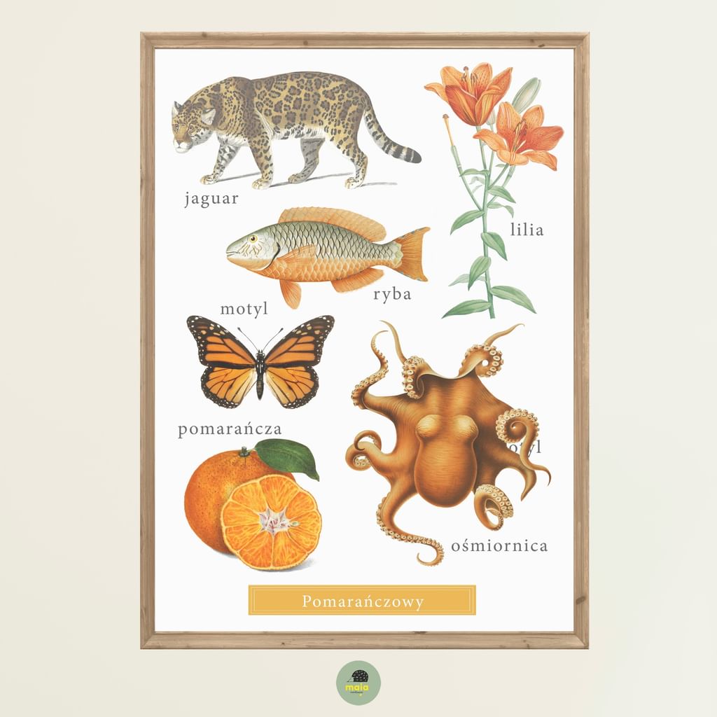 Plakat Kolor Pomarańczowy