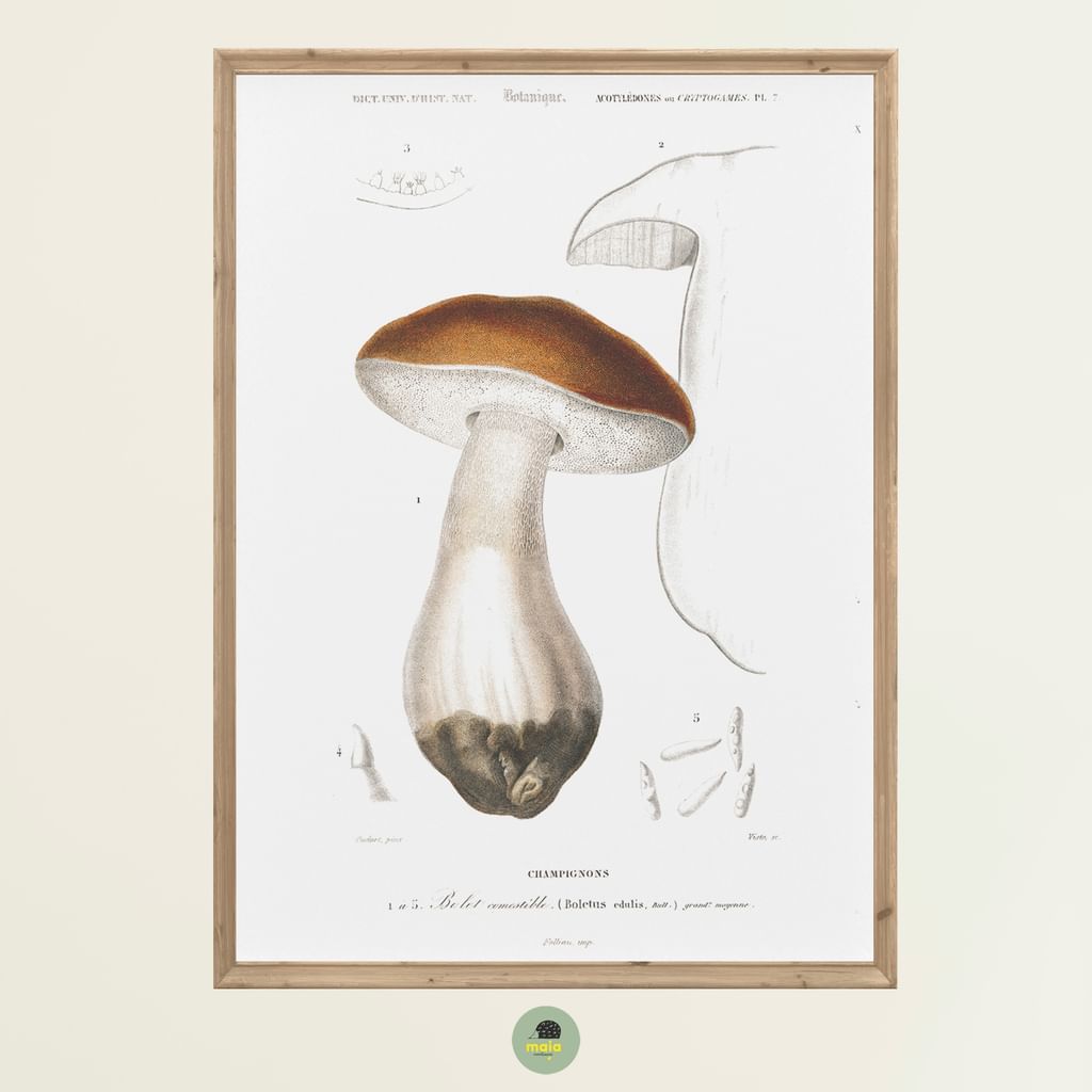 Plakat Borowik Vintage