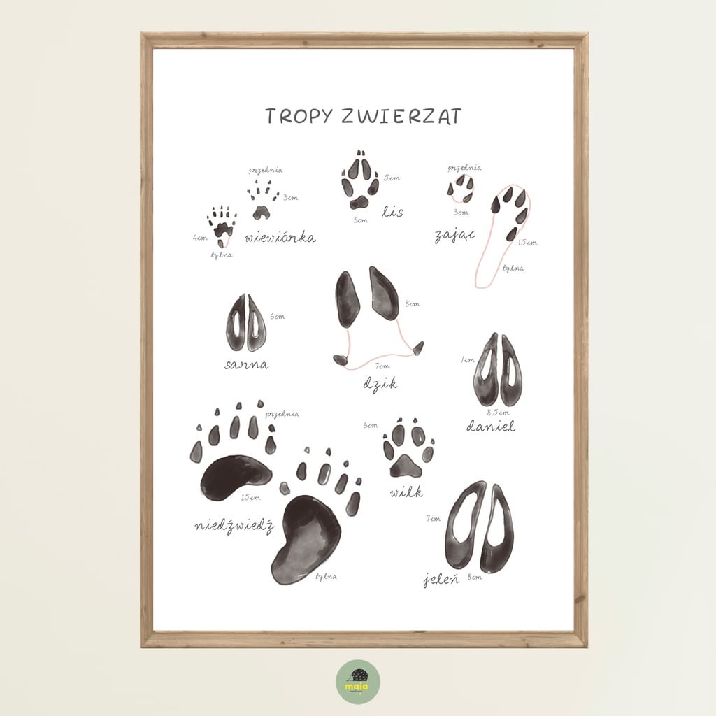 Plakat edukacyjny Tropy zwierząt
