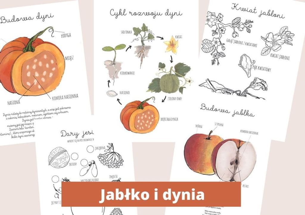EBOOK "Co niesie JESIEŃ" [ PDF ] kalendarz aktywności i dziennik obserwacji przyrody