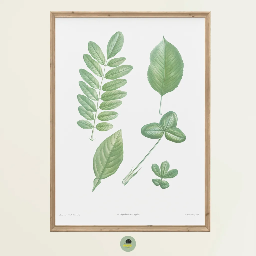 Plakat Liście