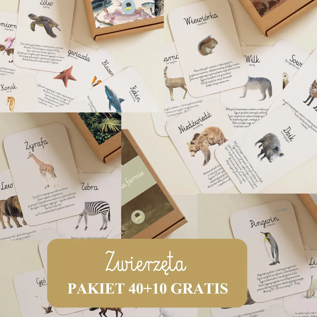 Pakiet Karty edukacyjne 50 w cenie 40 Zwierzęta Zagrodowe+Leśne+Safari+Okołobiegunowe+Wodne[PDF]