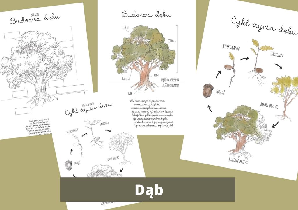 EBOOK "Co niesie JESIEŃ" [ PDF ] kalendarz aktywności i dziennik obserwacji przyrody