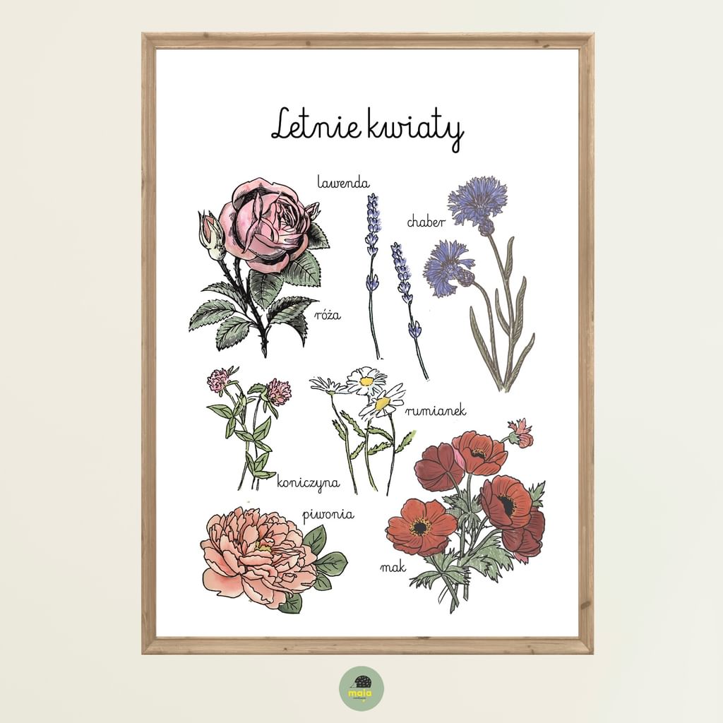 Plakat edukacyjny Letnie kwiaty