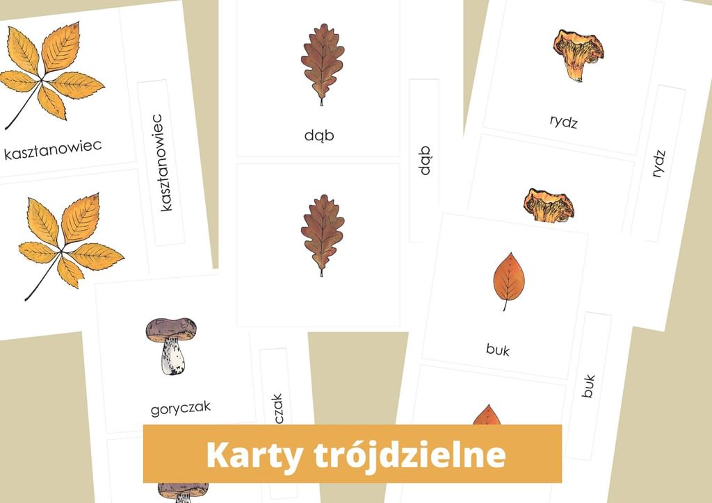 EBOOK "Co niesie JESIEŃ" [ PDF ] kalendarz aktywności i dziennik obserwacji przyrody