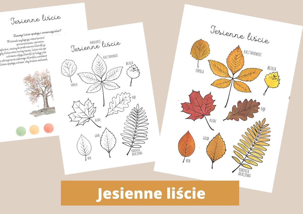 EBOOK "Co niesie JESIEŃ" [ PDF ] kalendarz aktywności i dziennik obserwacji przyrody