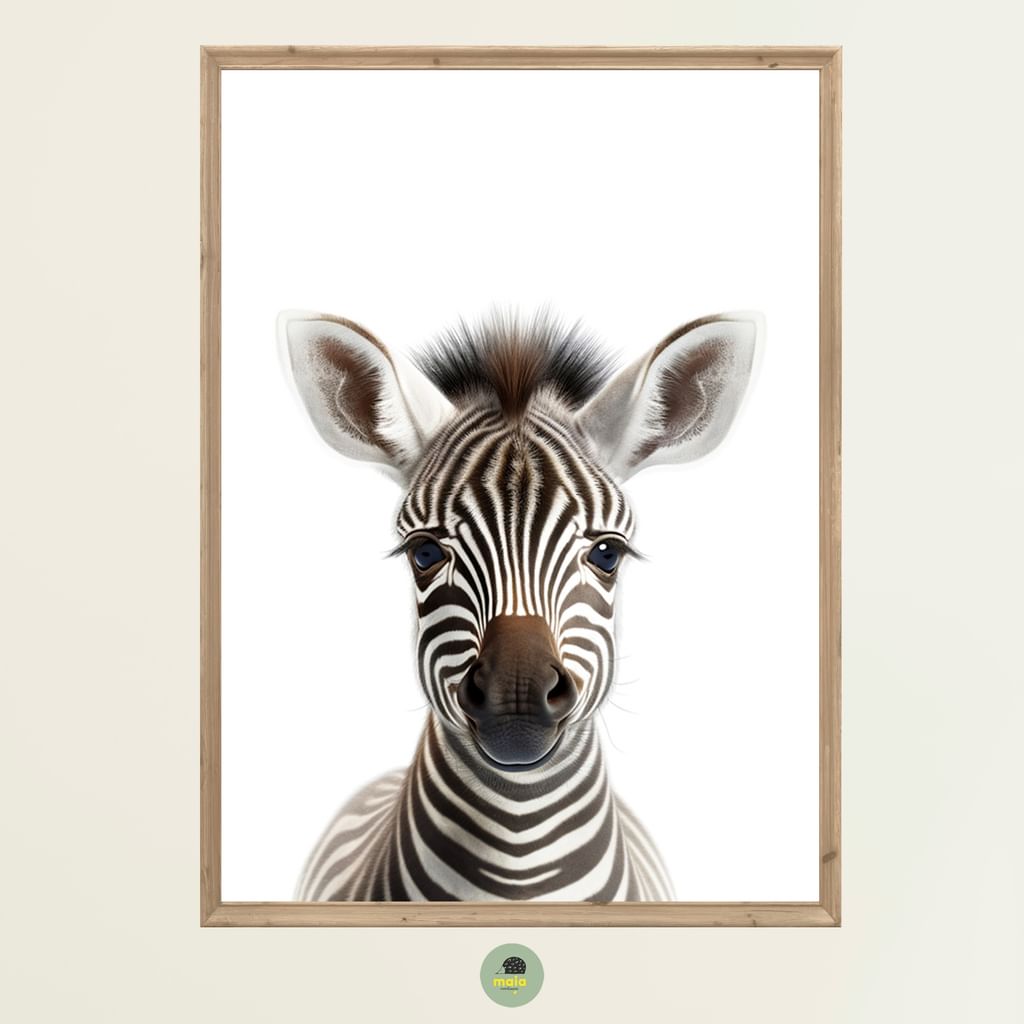 Plakat Zebra