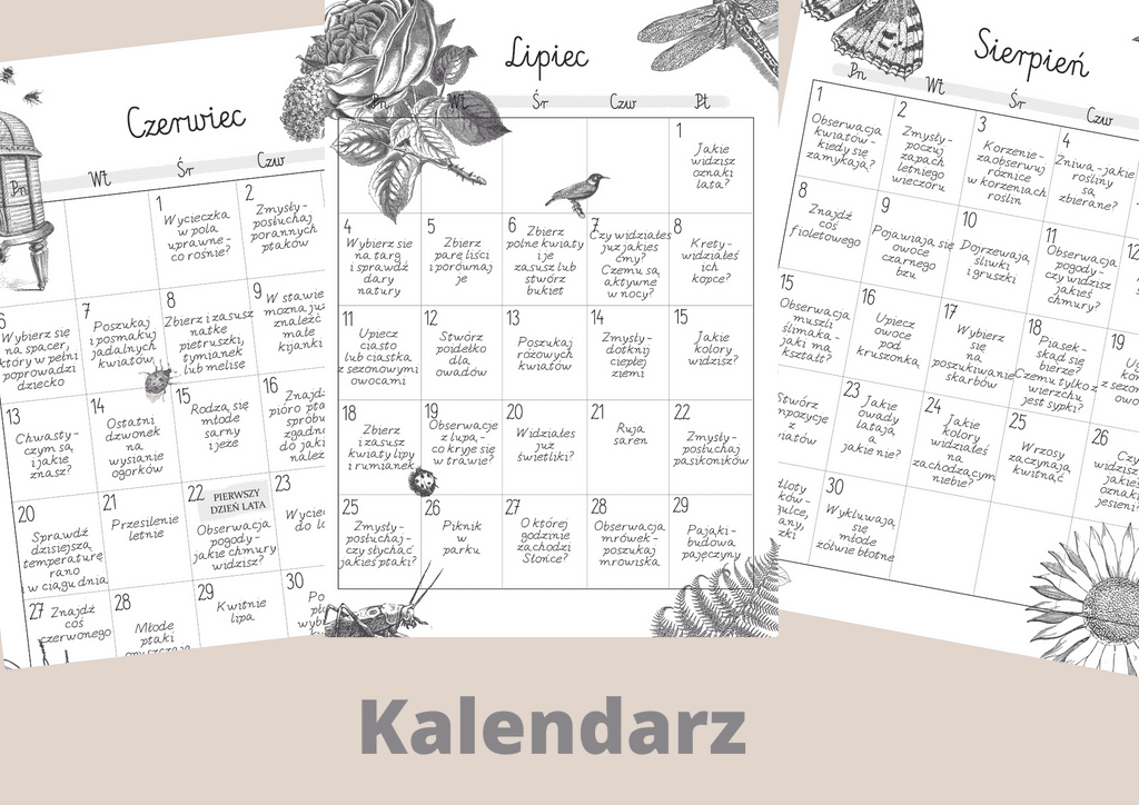 EBOOK "Co na to LATO" [ PDF ] kalendarz aktywności i dziennik obserwacji przyrody