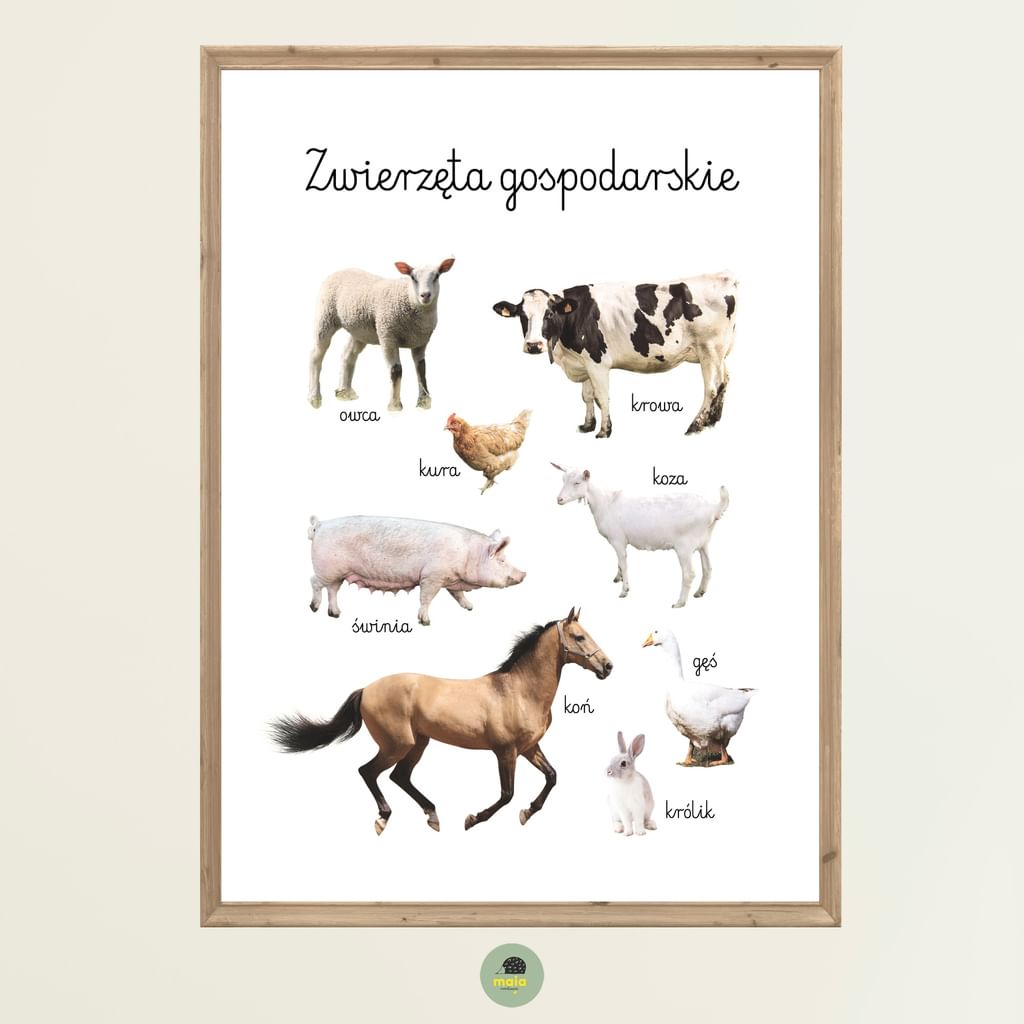 Plakat edukacyjny Zwierzęta gospodarskie