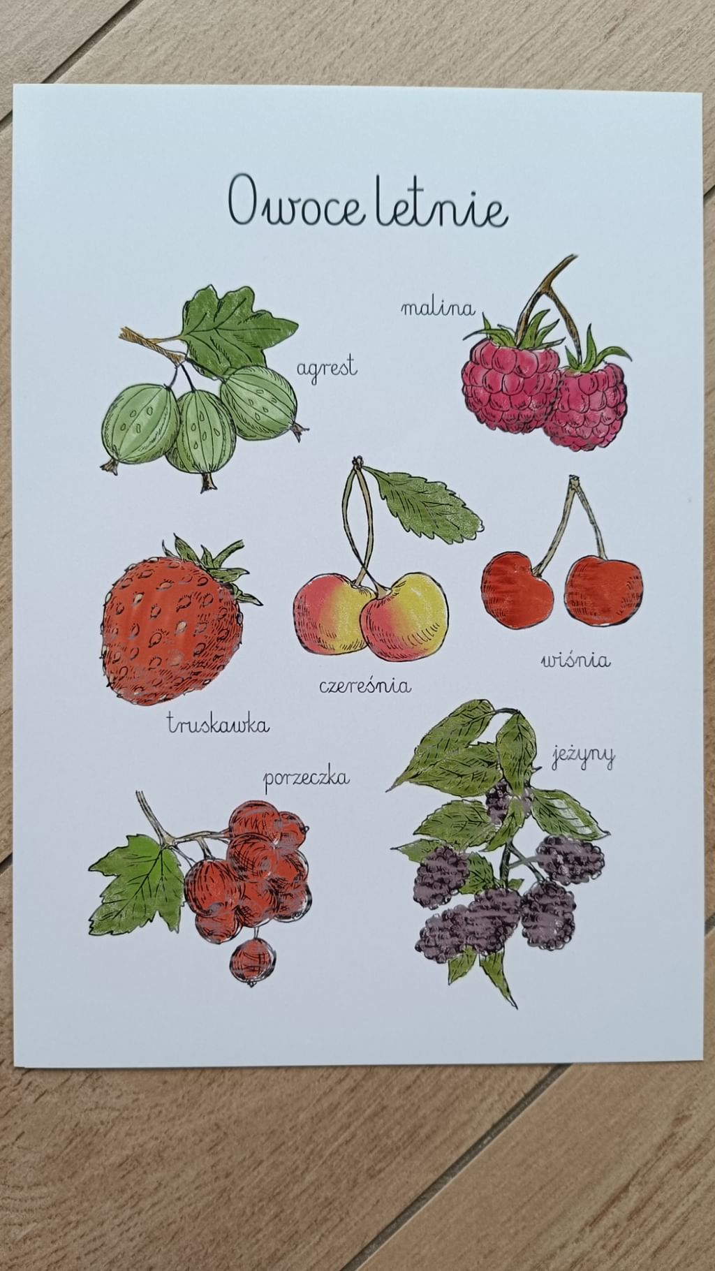 Plakat A4 owoce letnie