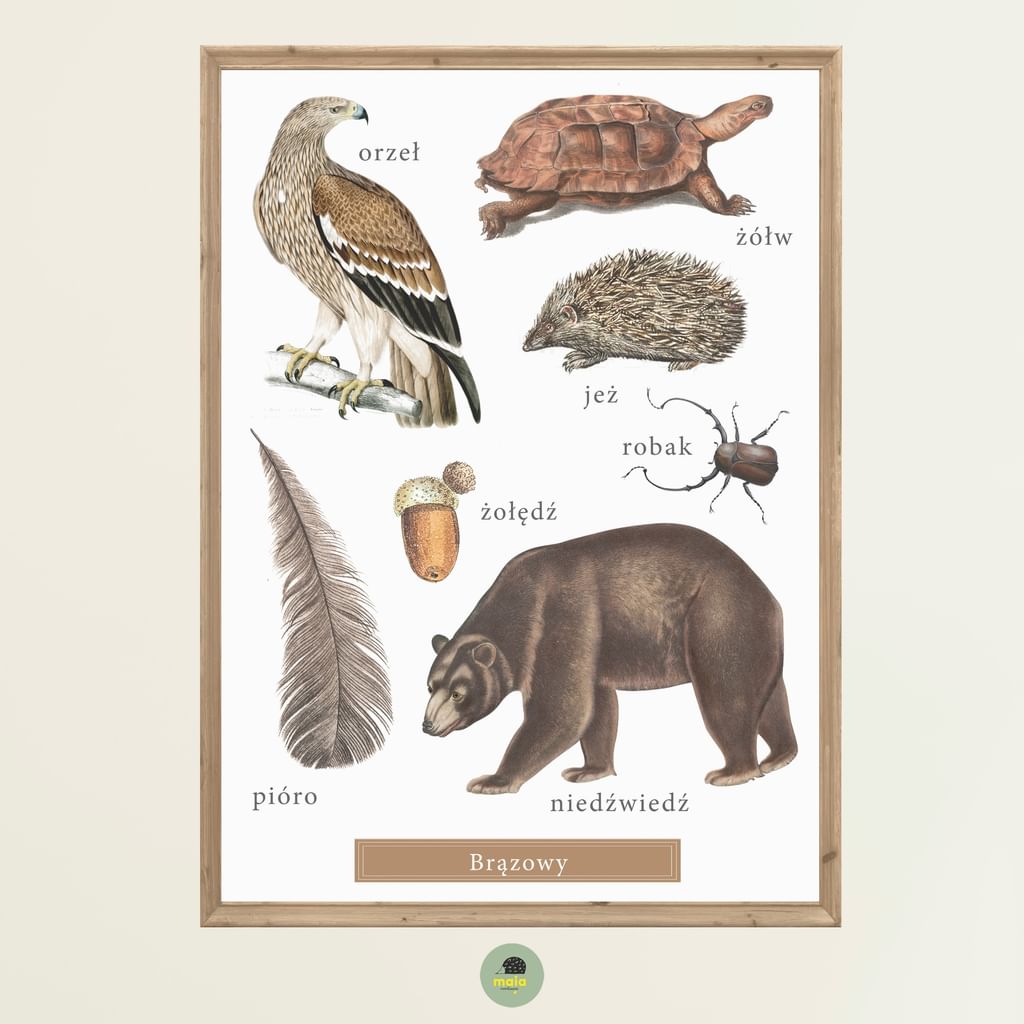 Plakat Kolor Brązowy