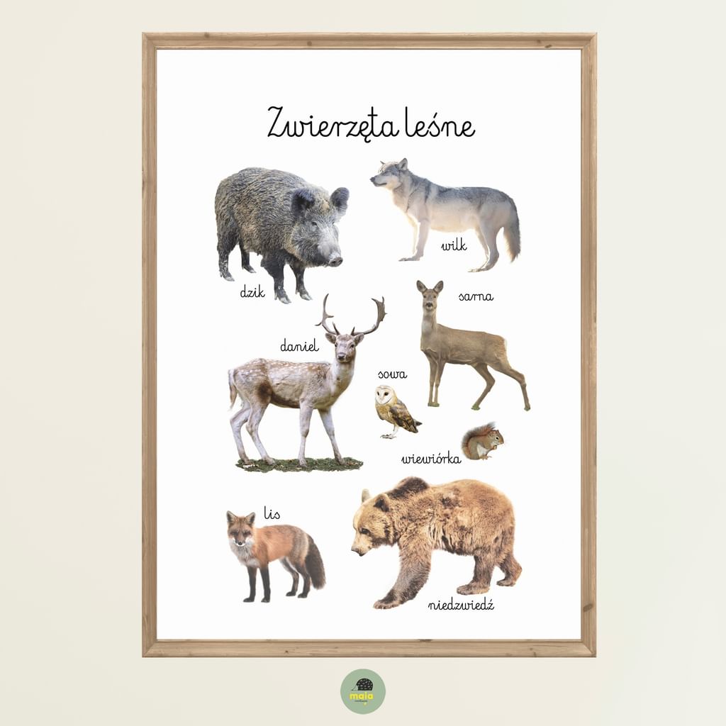 Plakat edukacyjny Zwierzęta leśne