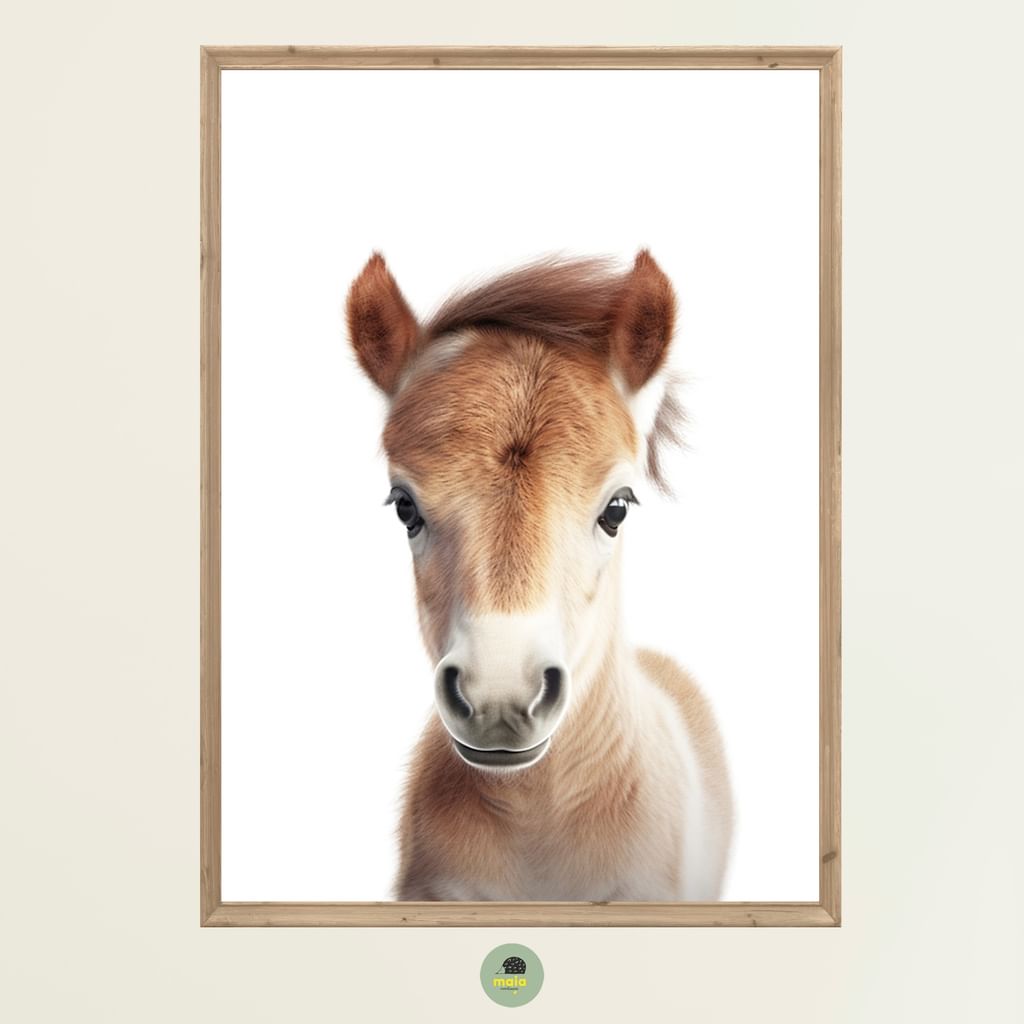 Plakat Konik