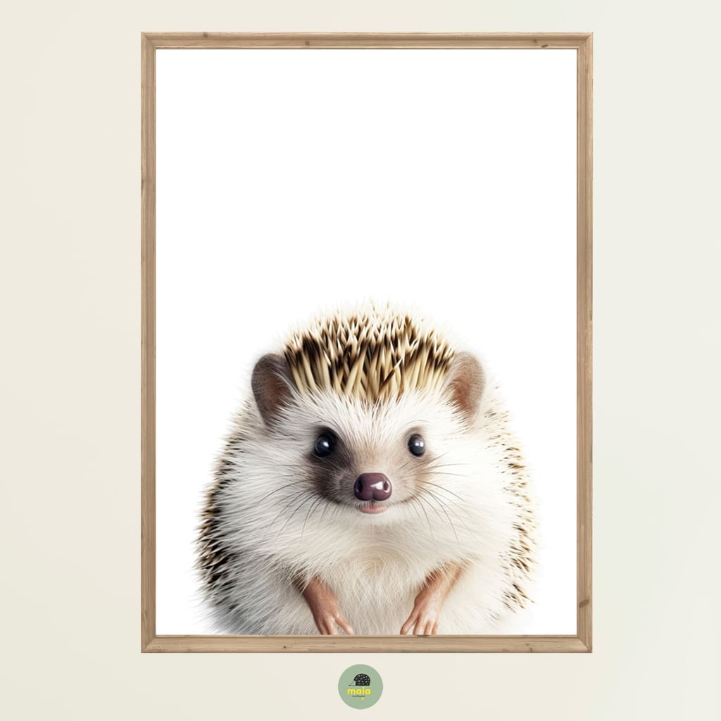 Plakat Jeż