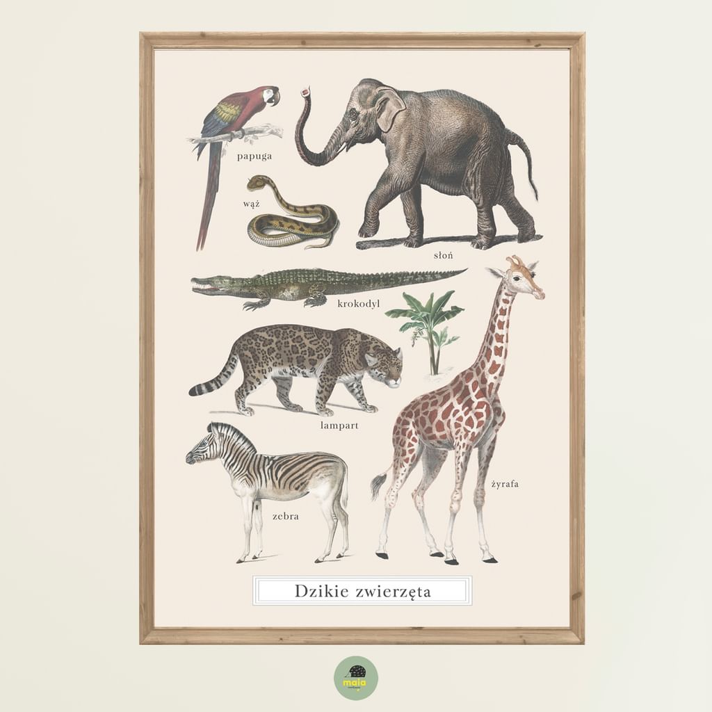 Plakat Zwierzęta Dzikie Vintage