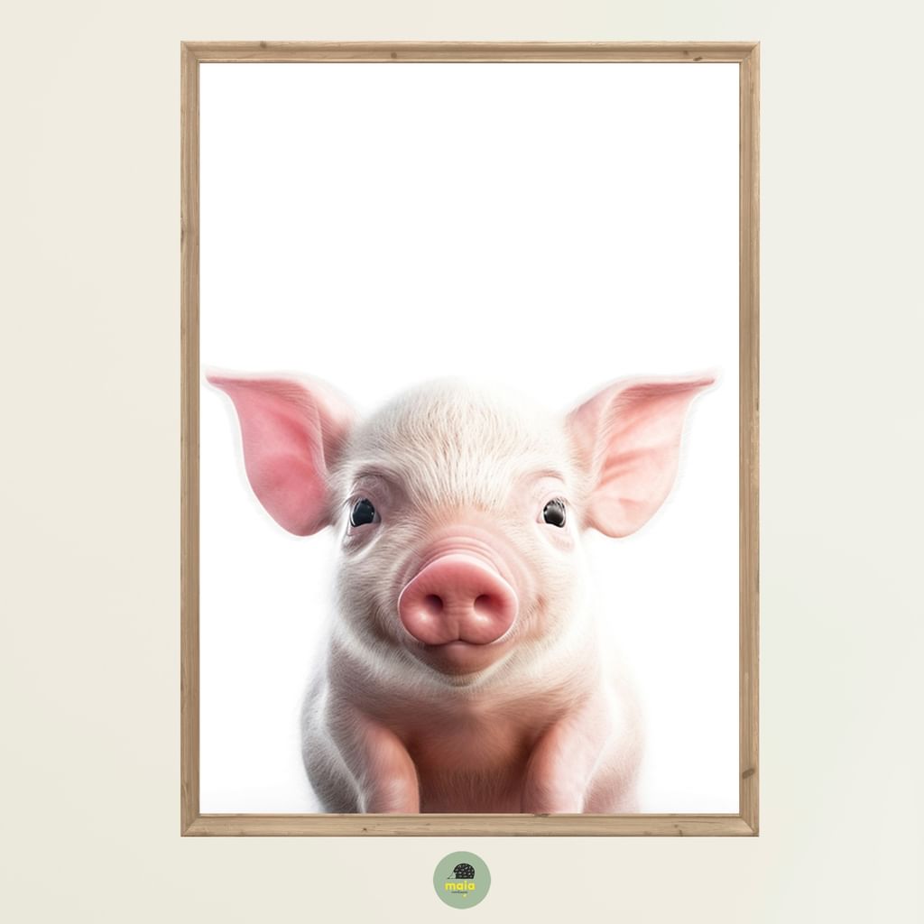 Plakat Świnka