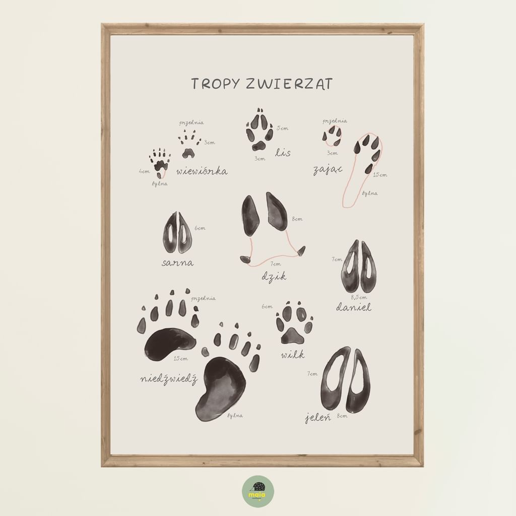 Plakat edukacyjny Tropy zwierząt ciemne tło