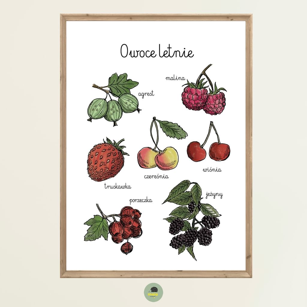 Plakat edukacyjny Owoce letnie