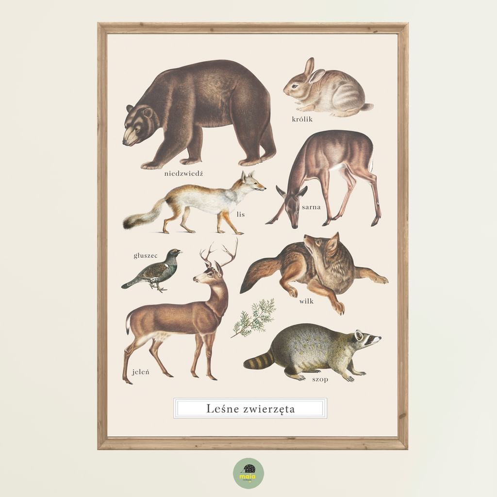 Plakat Zwierzęta Leśne Vintage
