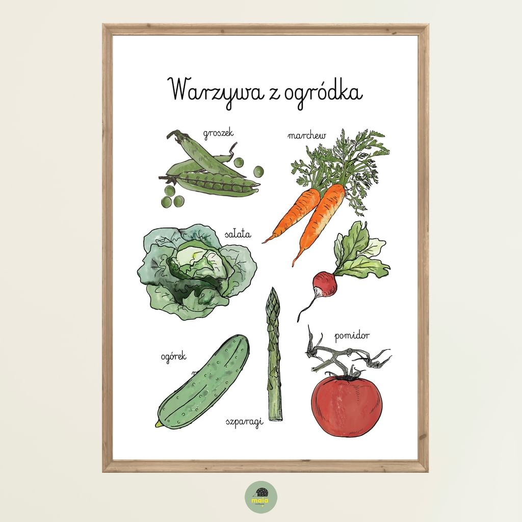 Plakat edukacyjny Warzywa z ogródka