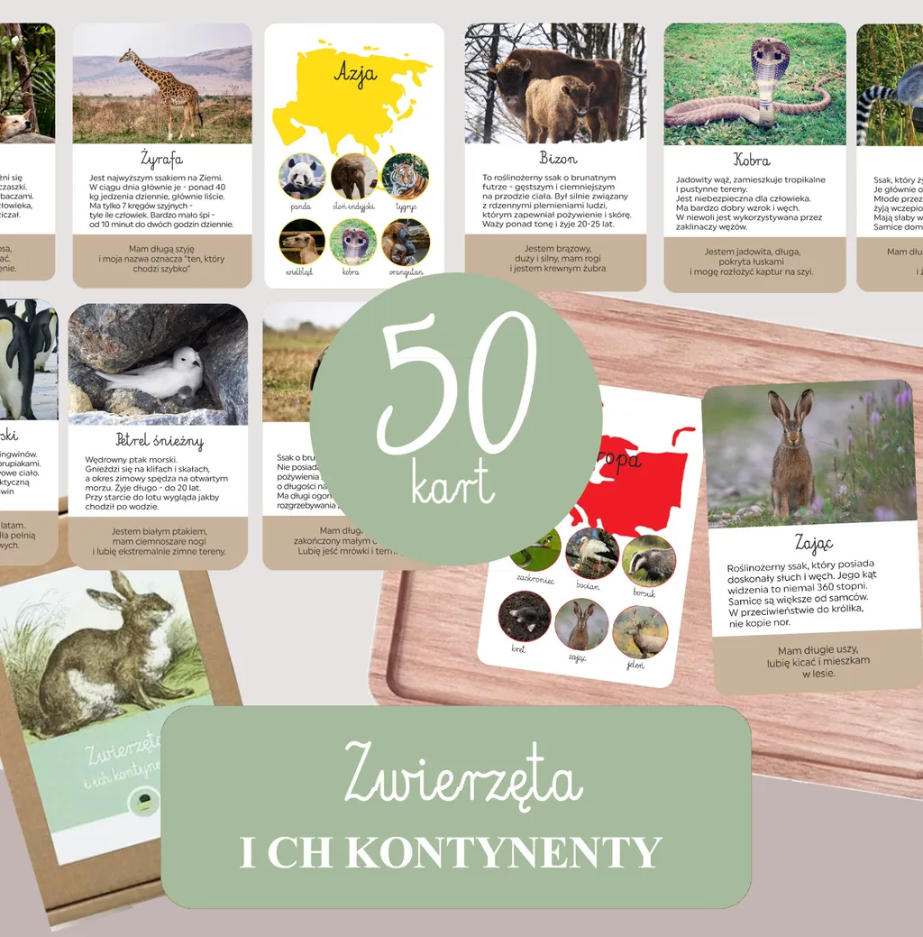 Karty edukacyjne Zwierzęta Kontynenty