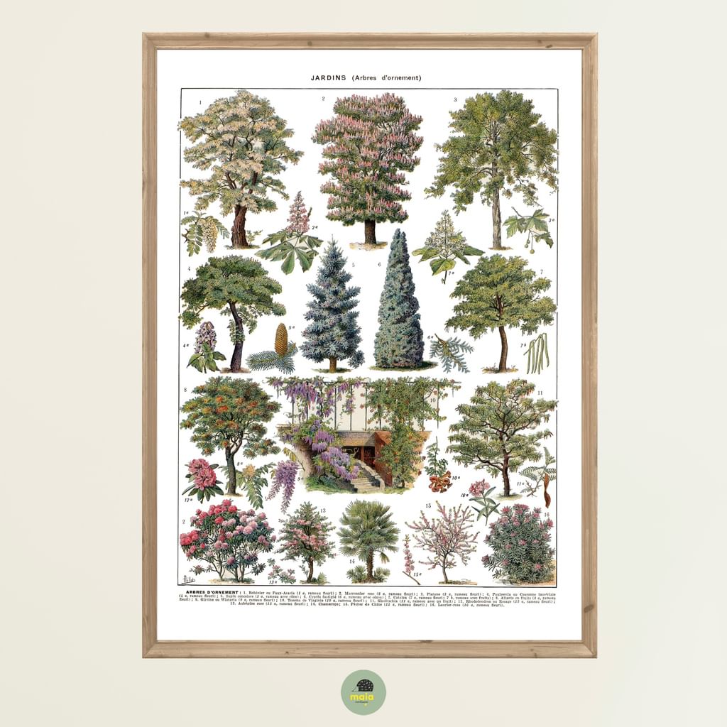 Plakat Drzewa 2