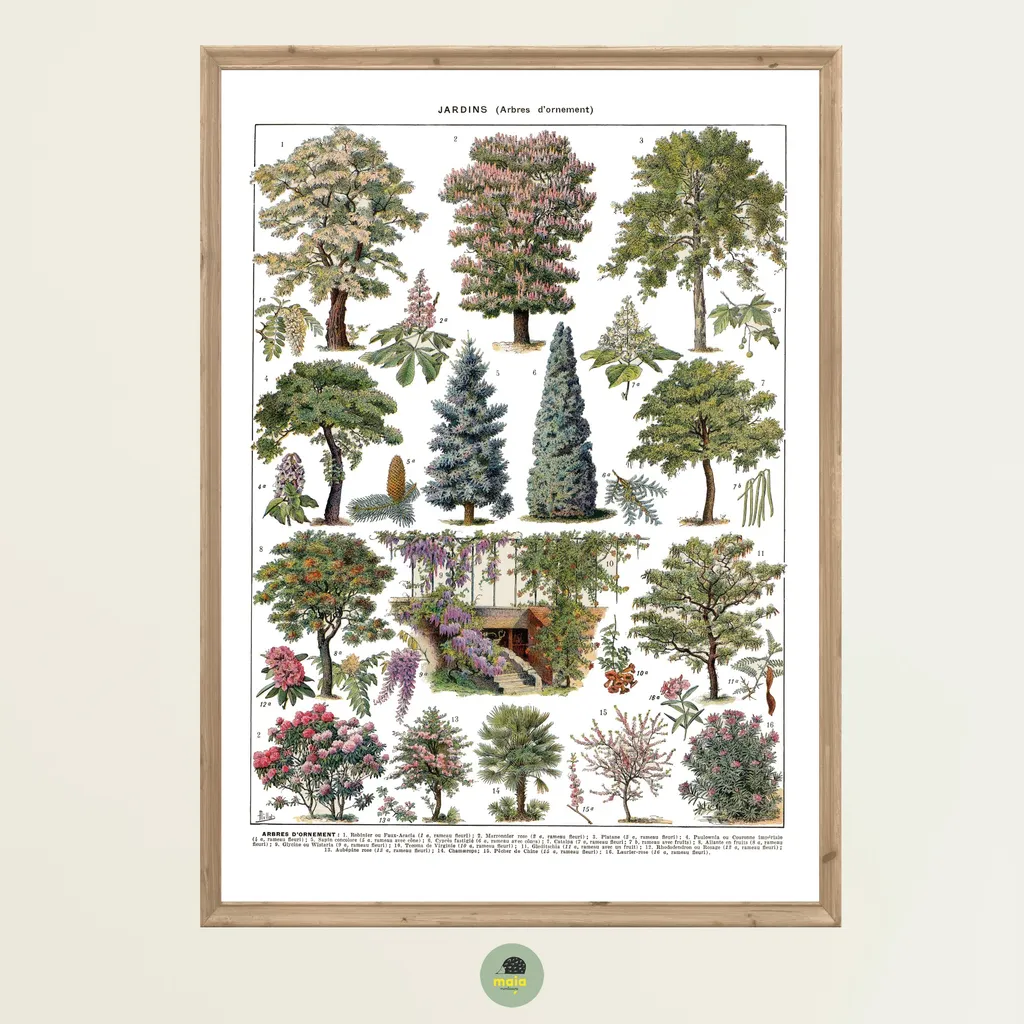 Plakat Drzewa 2