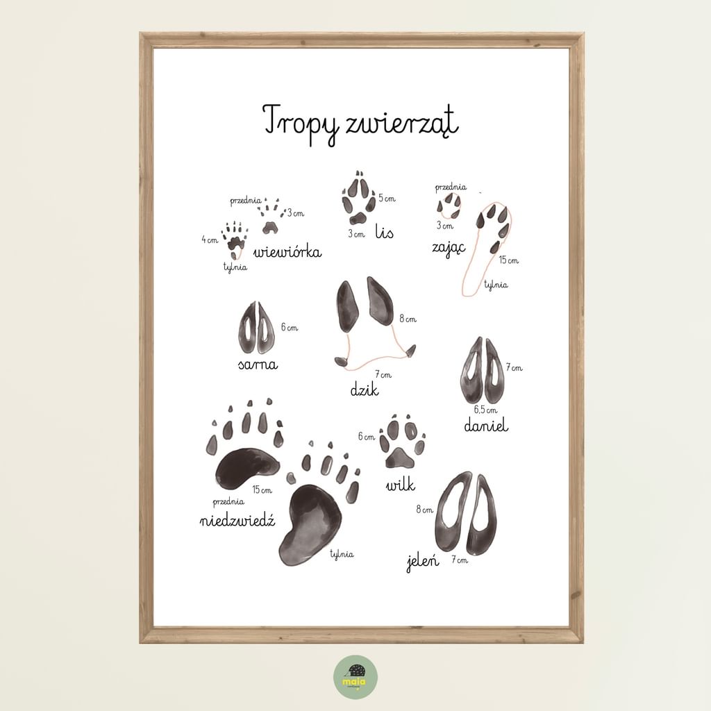 Plakat edukacyjny Tropy