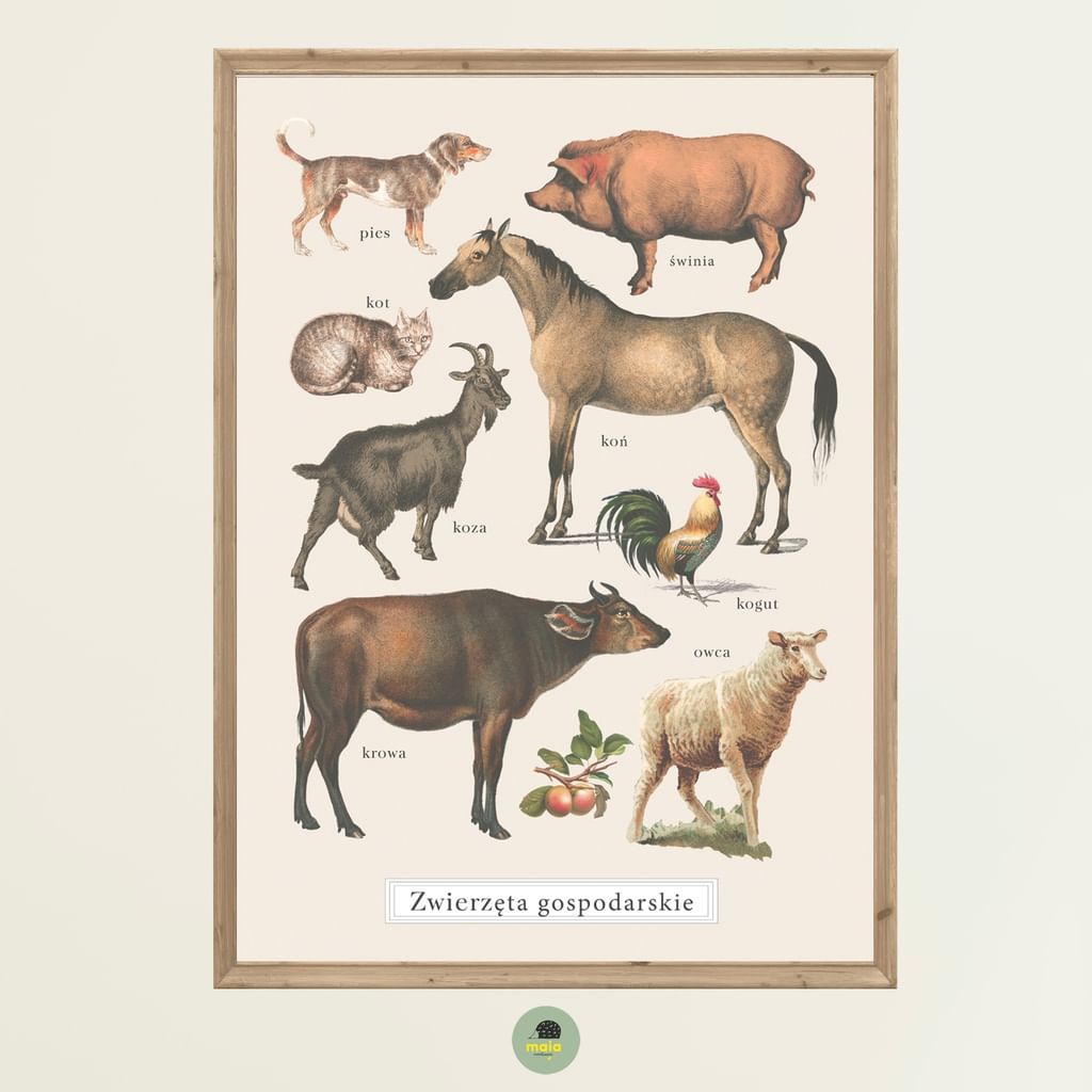 Plakat Zwierzęta Gospodarskie Vintage
