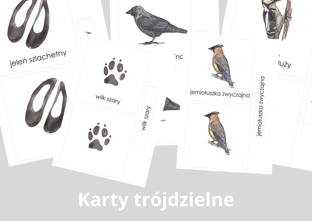 EBOOK "Jak się trzyma ZIMA" [ PDF ] kalendarz aktywności i dziennik obserwacji przyrody