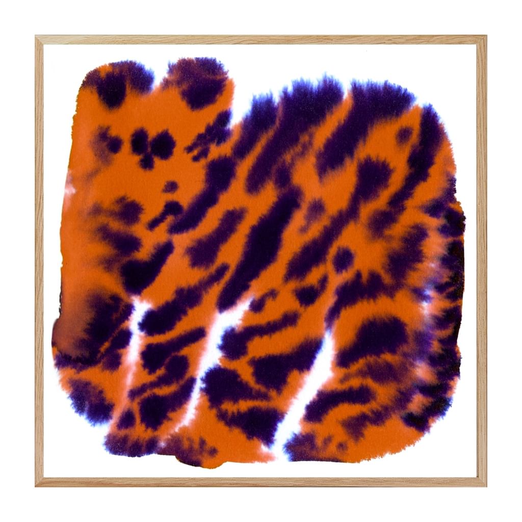 Plakat "Little tiger" 20x20