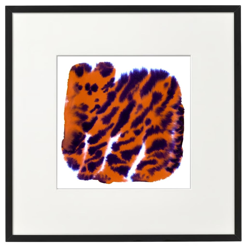 Plakat "Little tiger" 20x20