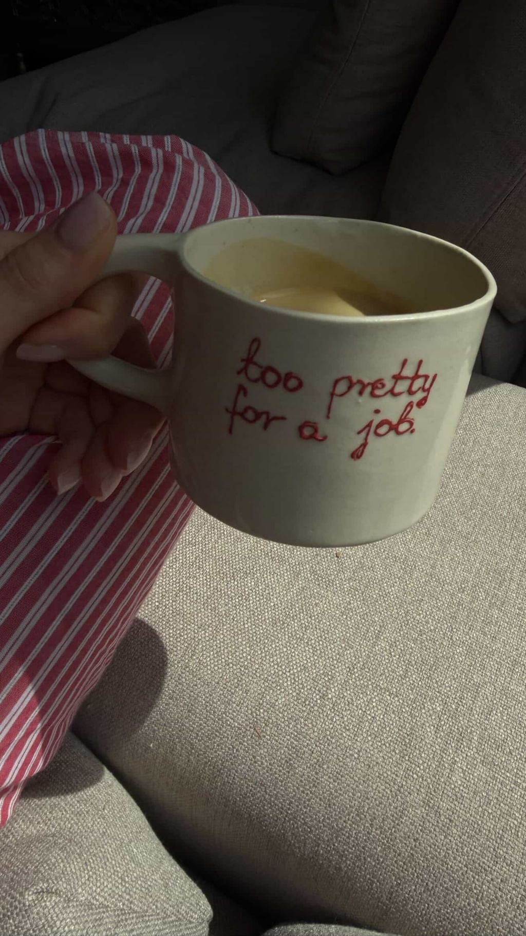 Mug " too pretty for a job "
